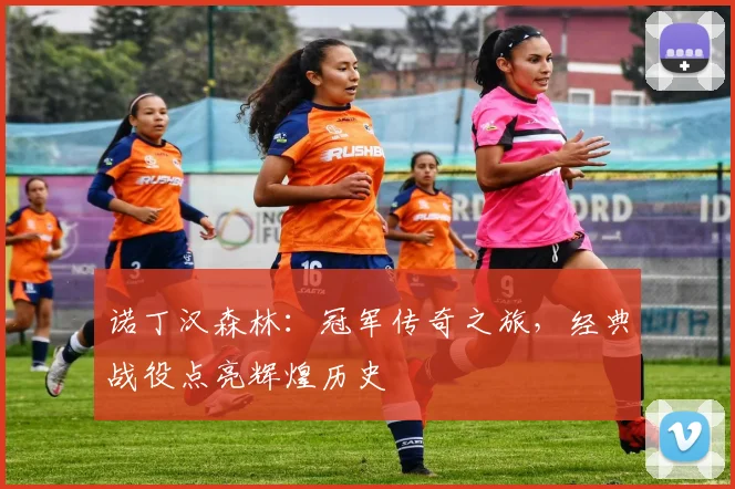 诺丁汉森林：冠军传奇之旅，经典战役点亮辉煌历史