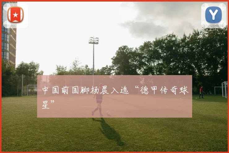 中国前国脚杨晨入选“德甲传奇球星”