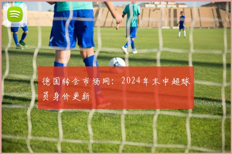 德国转会市场网：2024年末中超球员身价更新