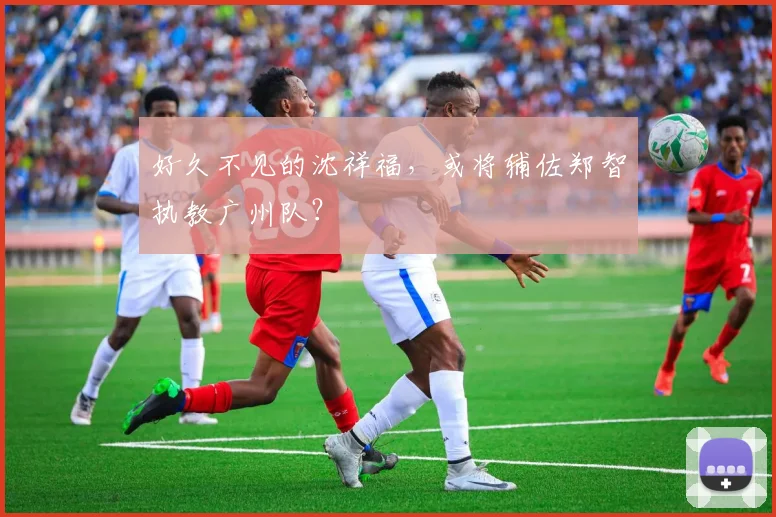 好久不见的沈祥福，或将辅佐郑智执教广州队？